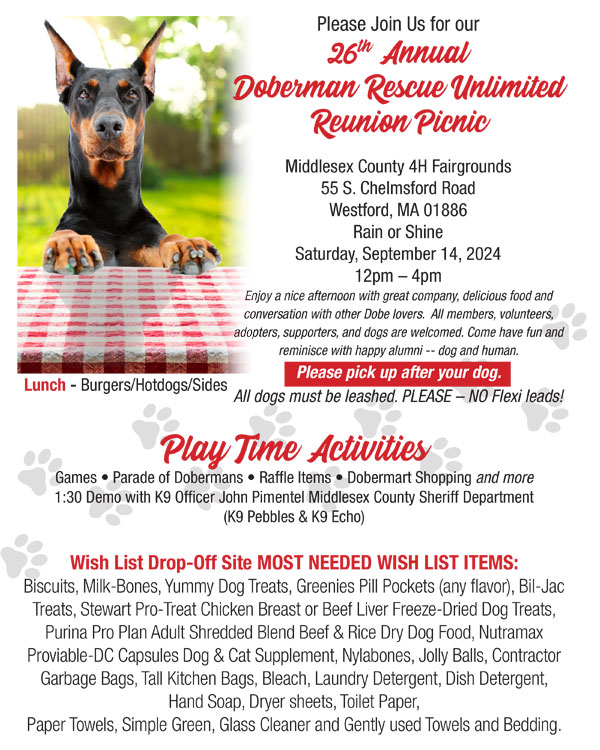 DRU 2024 picnic flyer