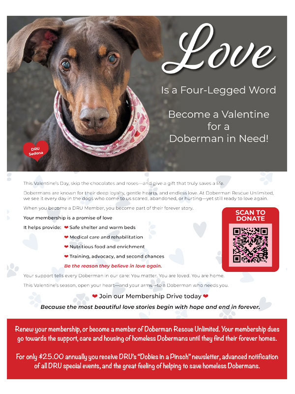 Cover photo for the DRU 2026 Valentines Day Membership flyer
