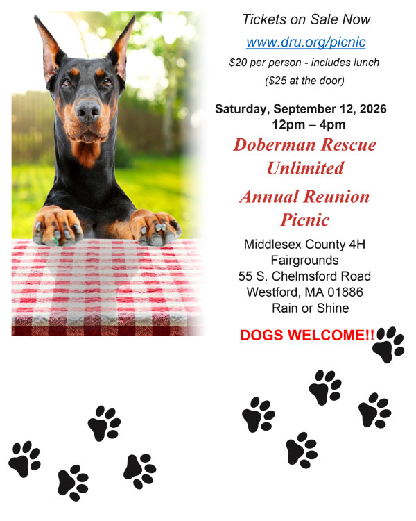 Photo of the DRU 2026 Picnic flyer